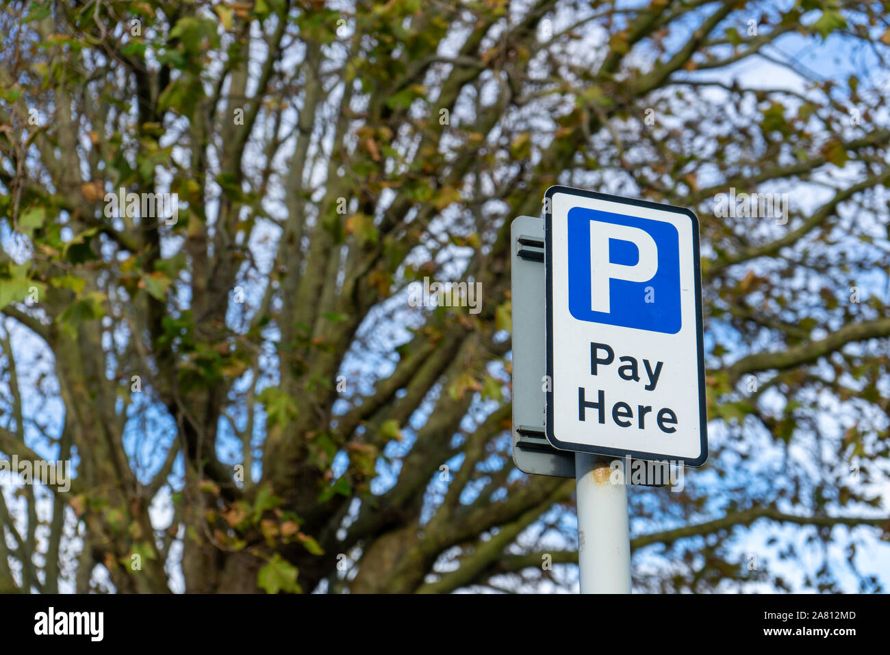 A parking pay here sign on a lamp post Stock Photo