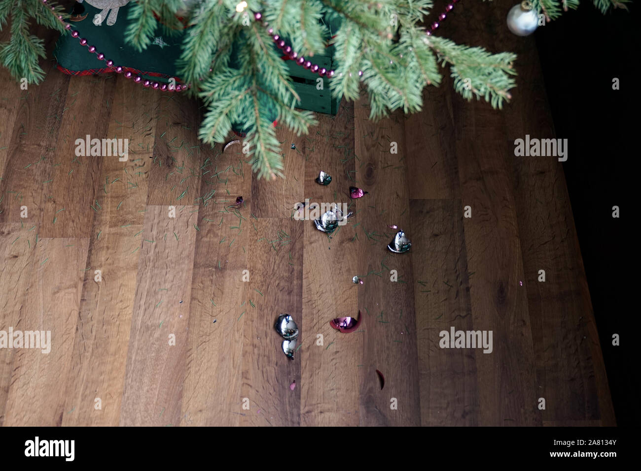 Fallen christmas tree hires stock photography and images Alamy