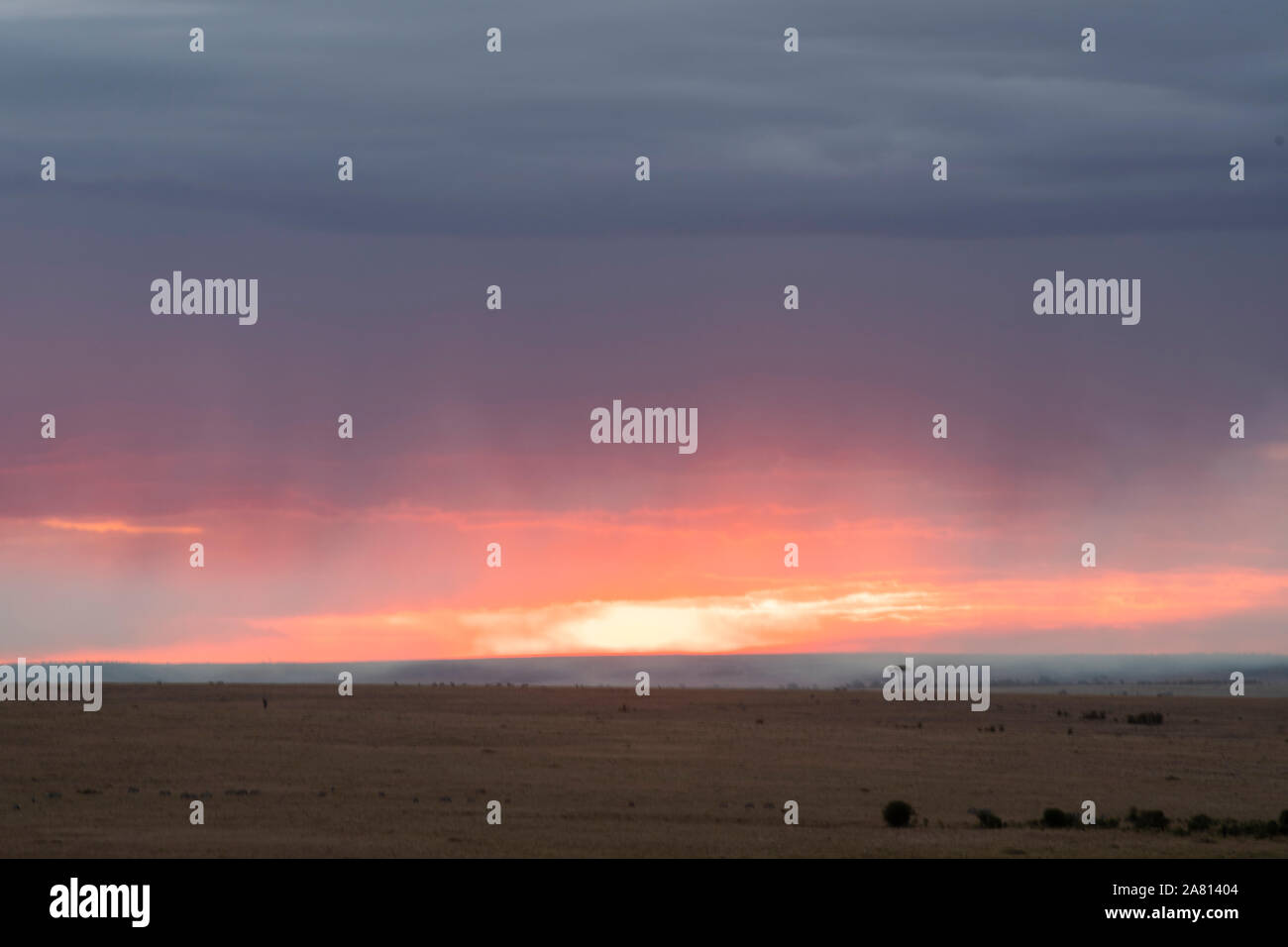 Maasai mara kenya landscape sunset hi-res stock photography and images ...