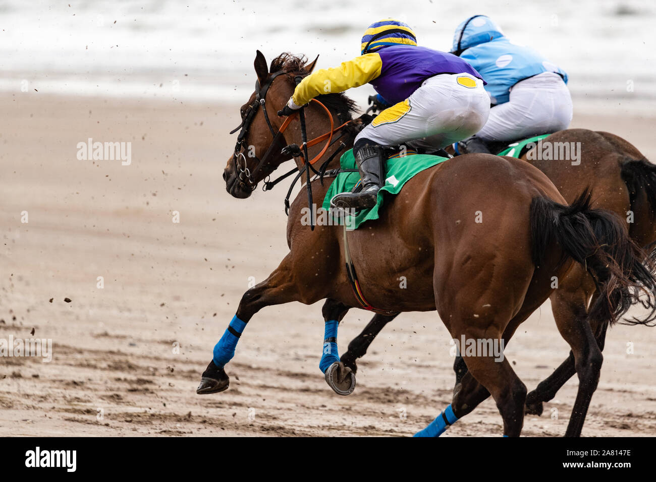 Two galloping race horses and jockeys competing for position, Horse