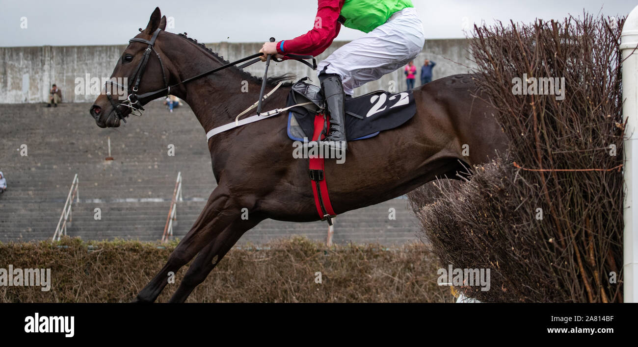 Race horse jumping a hurdle on the race track Stock Photo Alamy
