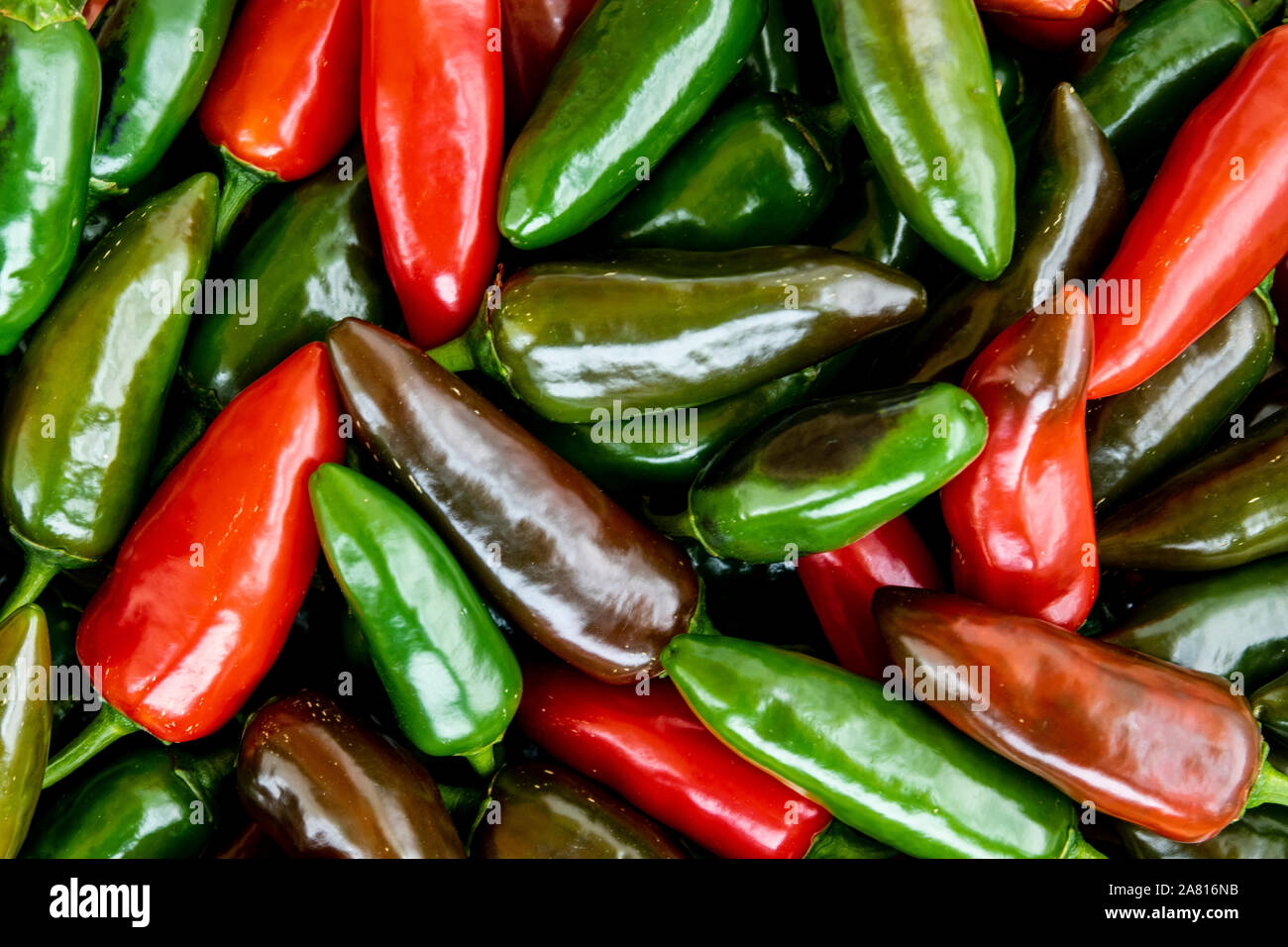 Pile of jalapeno peppers in various stages of maturation in the market Stock Photo