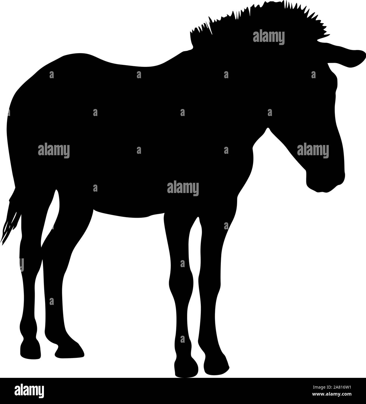 Silhouette african zebra on a white background Stock Vector Image & Art ...