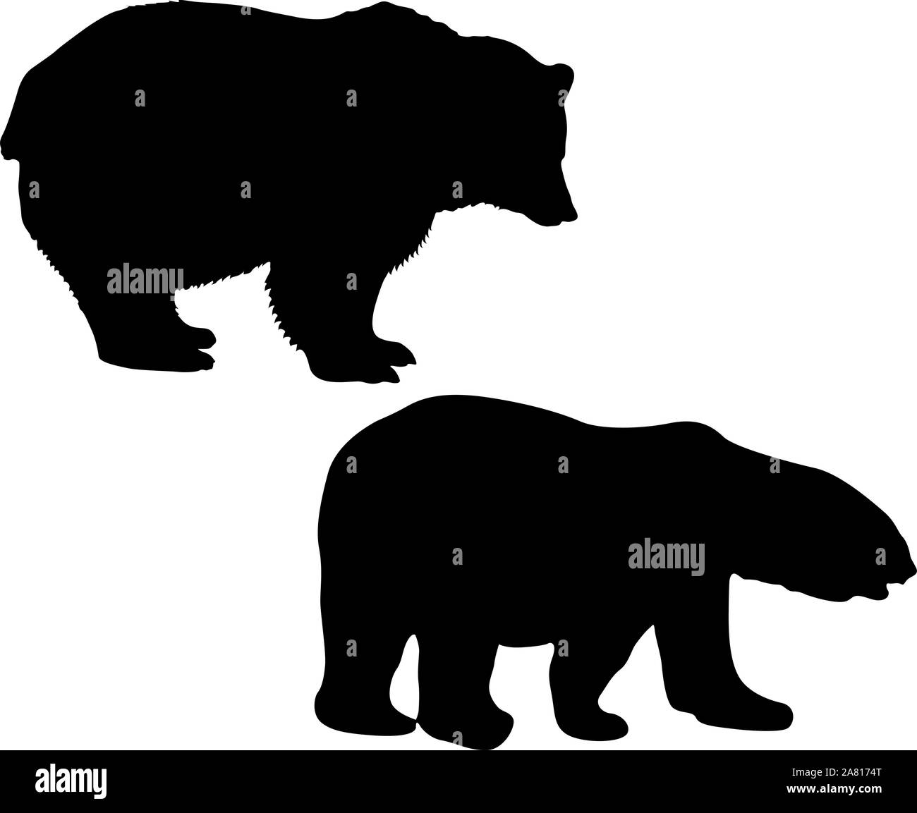 Silhouette of a white and brown bear on a white background. Stock Vector