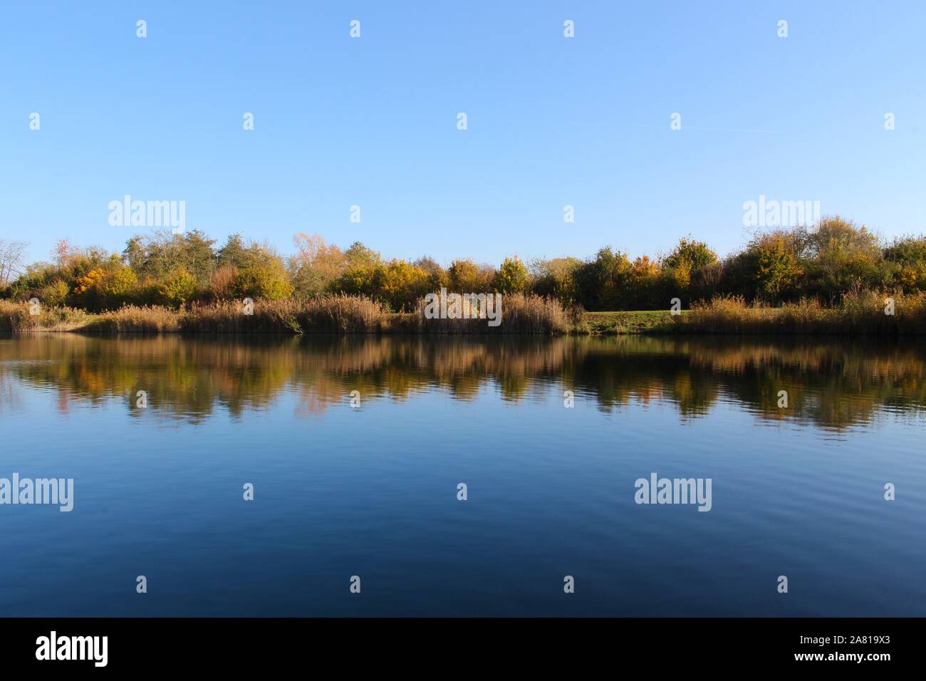 Lake shoreline reflecting symmetric in the water with blue sky Stock Photo