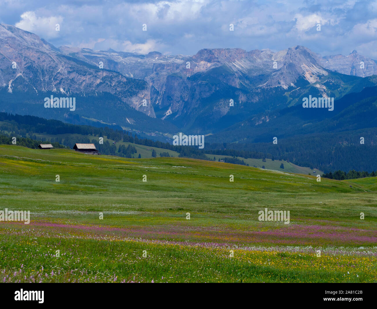 Seiser Alm Dolomites plateau largest Alpine meadow in Europe mountains of Langkofel Group in the background Stock Photo