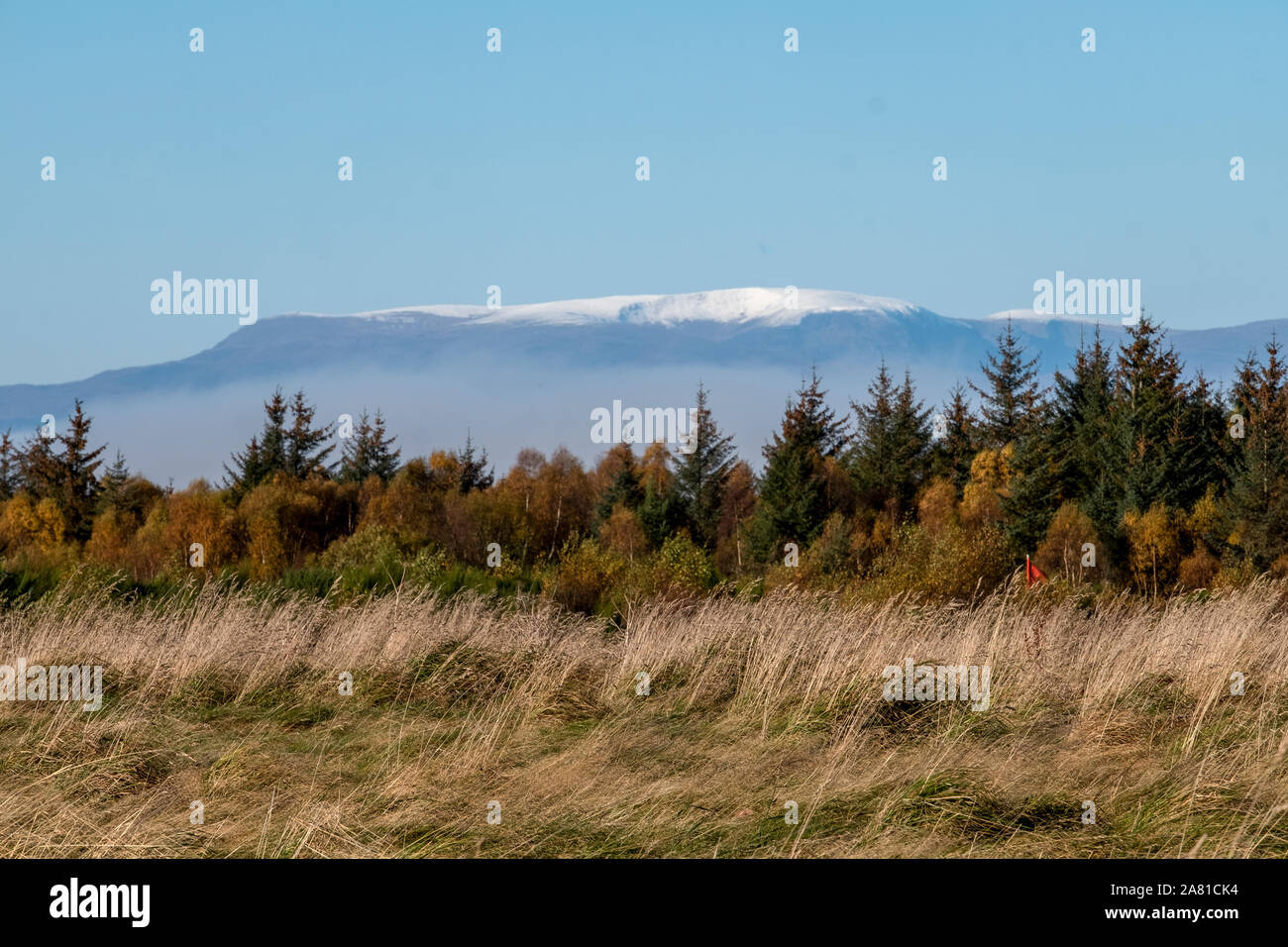 Culloden Moor with snow covered Ben Wyvis (1046m) in the distance, Inverness-shire, Scotland Stock Photo