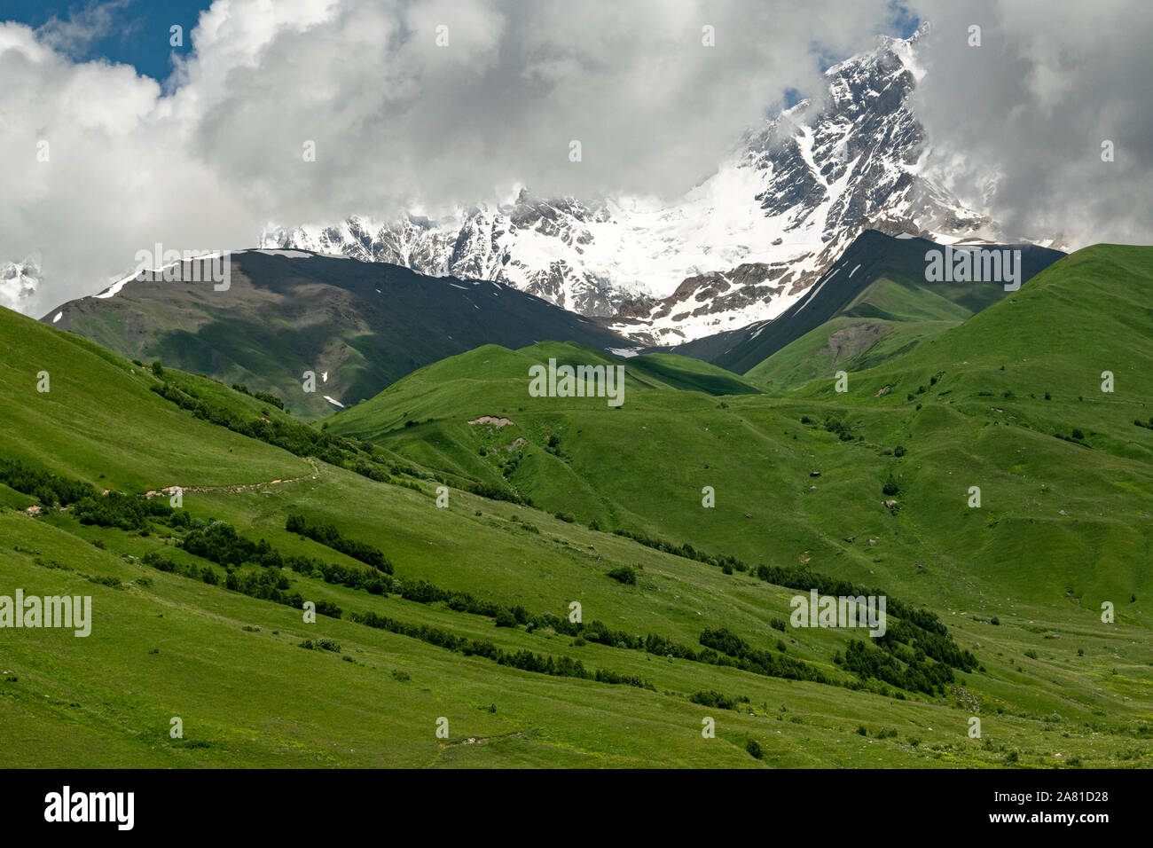 Grassy slopes of Caucasus Mountains, with snow-capped peaks in the background. Adishi valley, Upper Svaneti, Georgia. Stock Photo