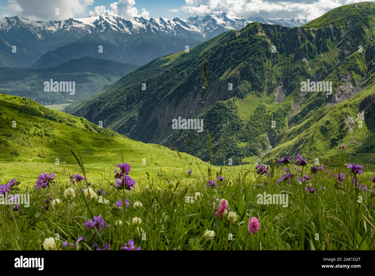 Georgian meadow with mountain view Stock Photo