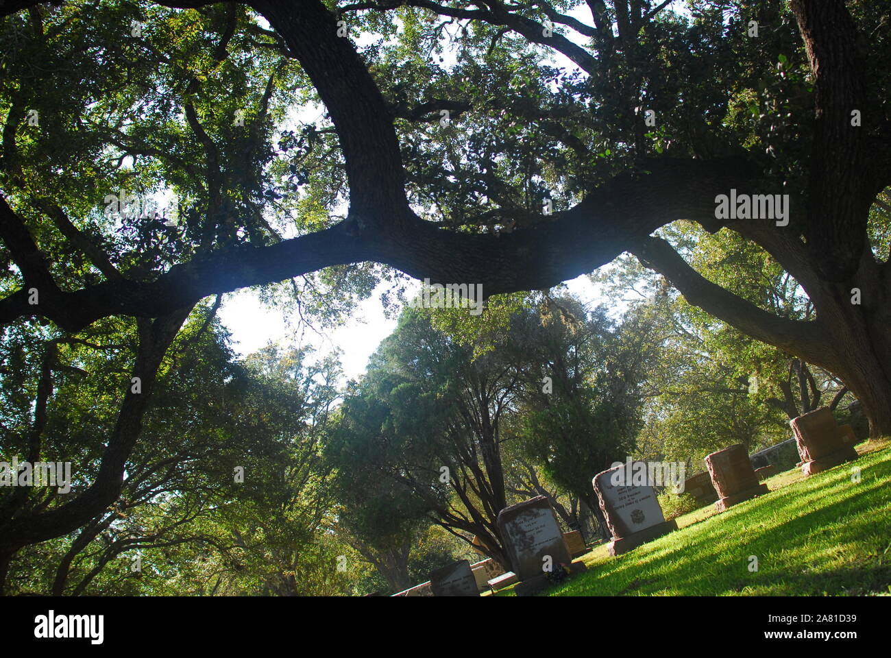 The Burial Site Of Lyndon B Johnson And Claudia Alta Lady Bird Johnson The Burial Site Of Lyndon B Johnson And Claudia Alta Lady Bird Johnson 2A81D39