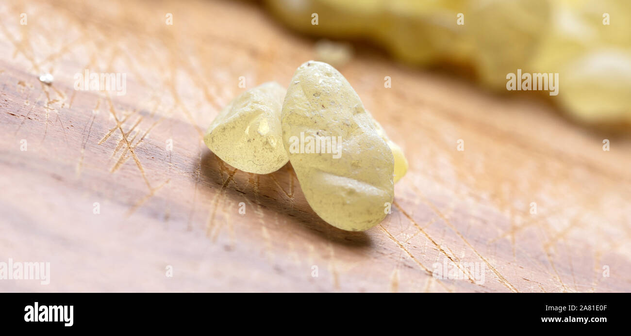 Mastic resin tears. Chios mastic on wood background, macro Stock Photo