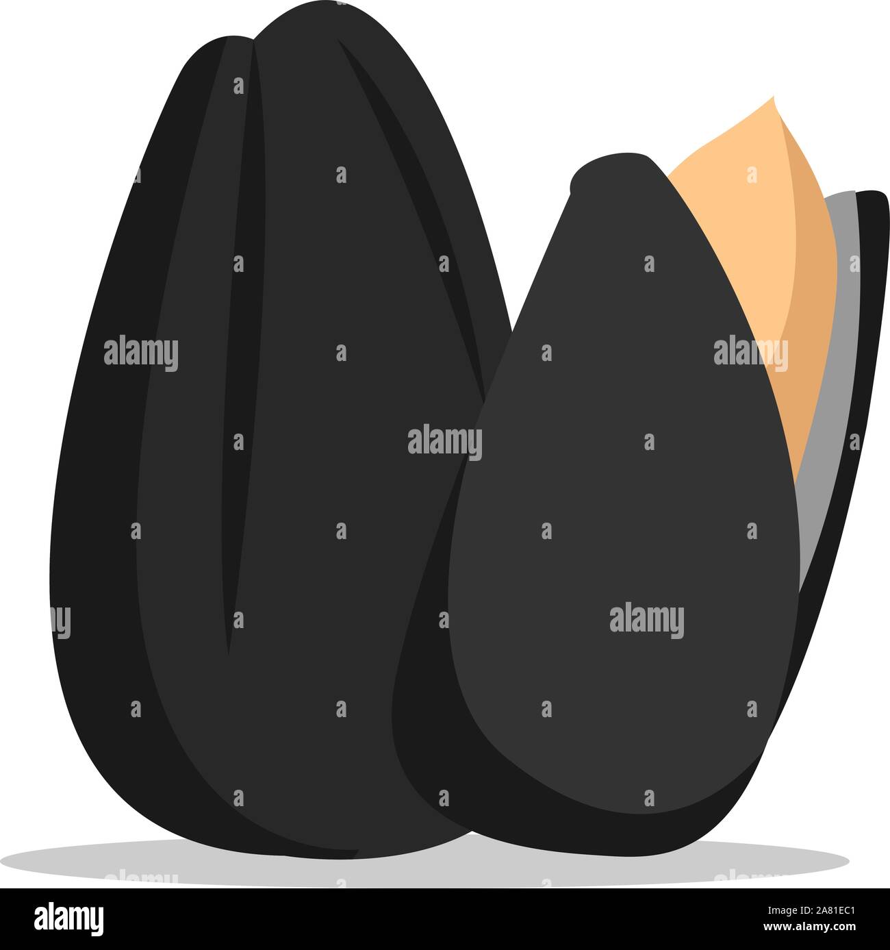 Sunflower seeds, illustration, vector on white background. Stock Vector