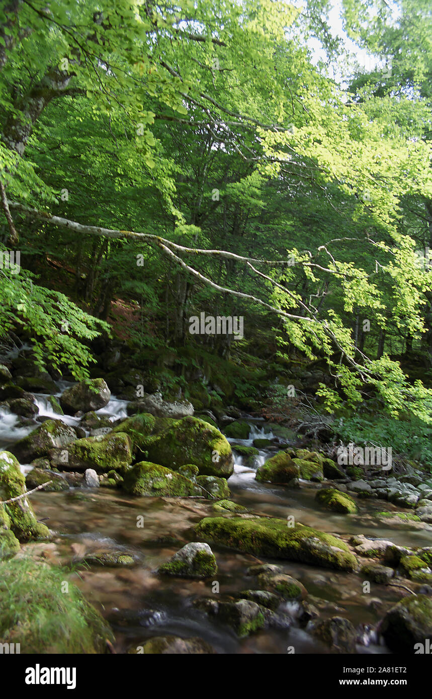 River Garbet near Aulus-les-Bains, Ariège, Occitanie, France: rocks, rapids and forest Stock Photo