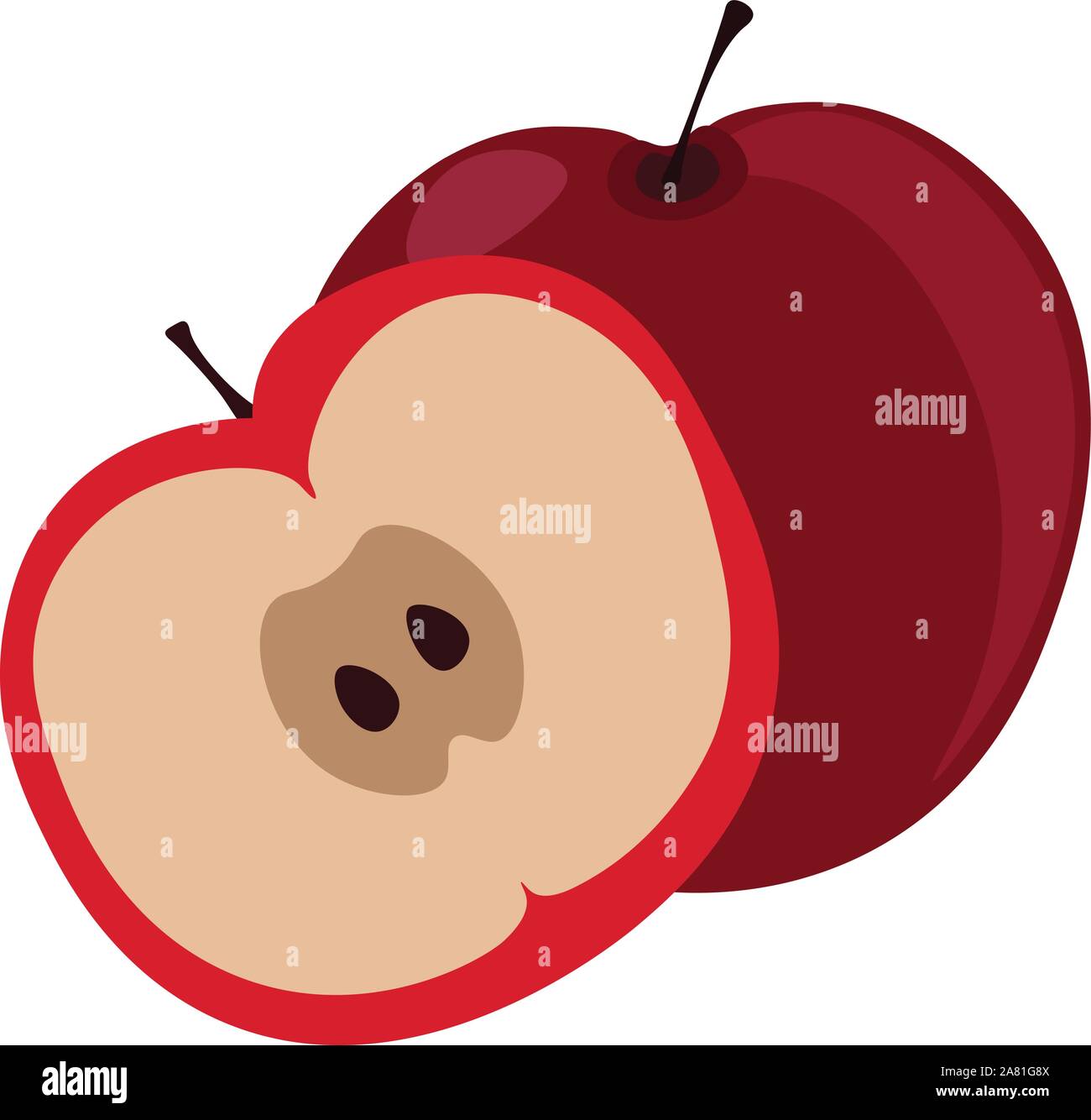 Apple cut in half, illustration, vector on white background. Stock Vector