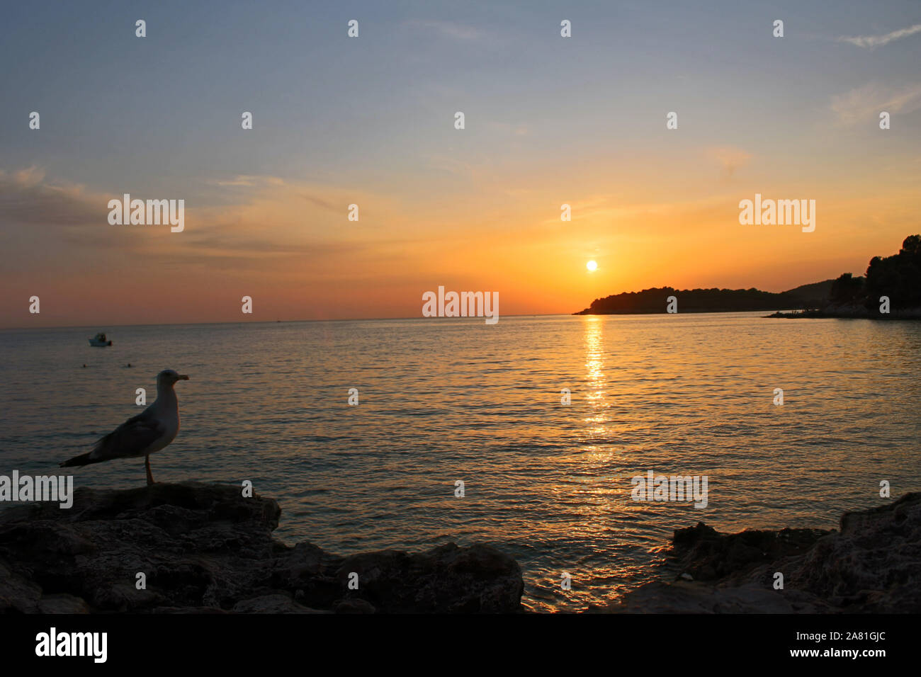 Coastal Sunset Slhouette of bird, Croatia Stock Photo