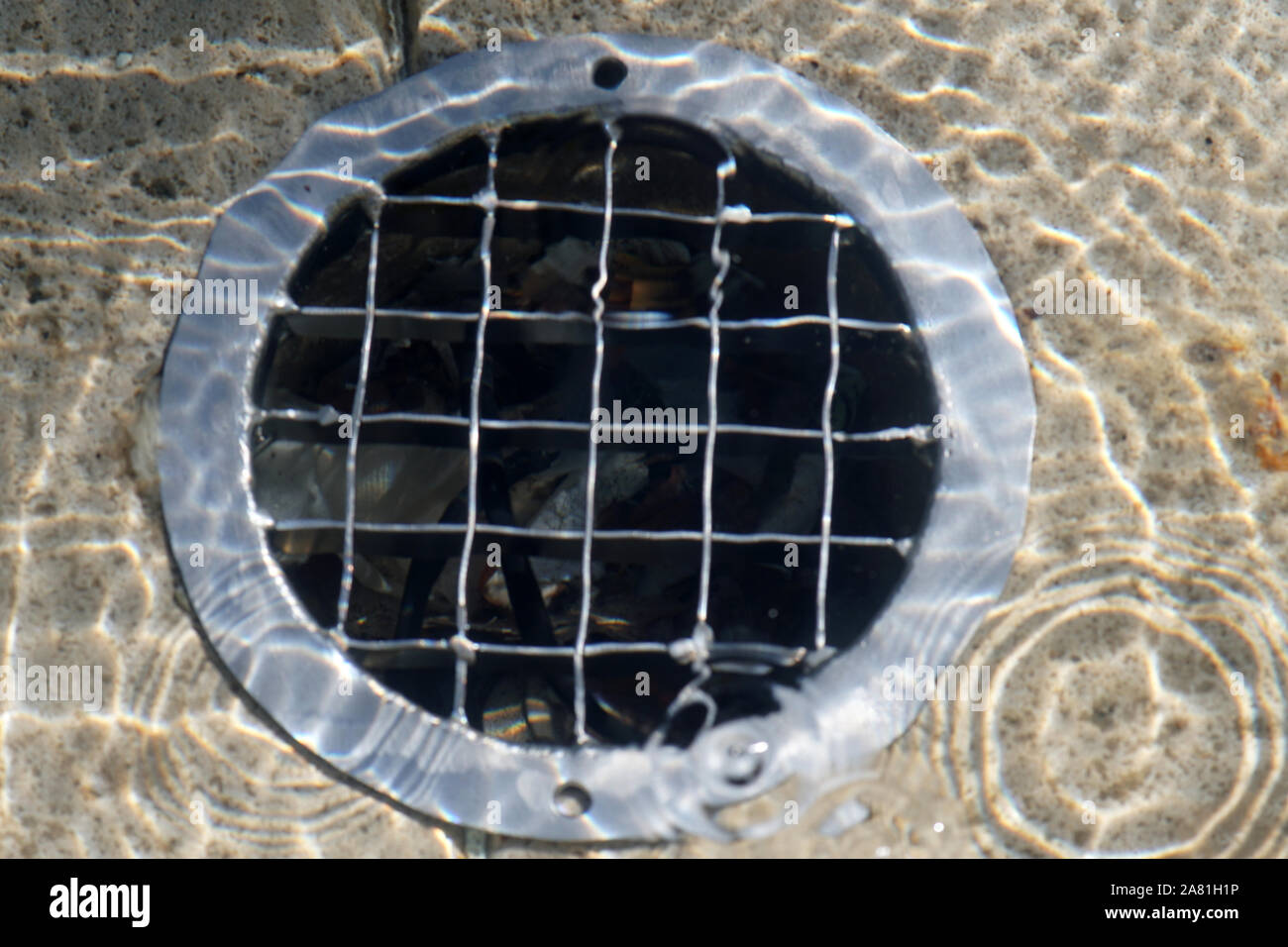 The closeup of a well drain and filter under the water surface. Stock Photo