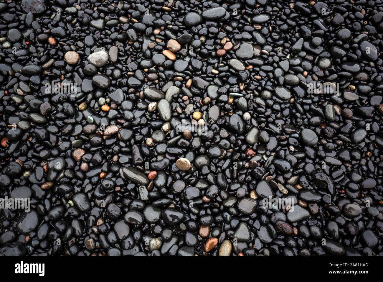 Black lava pebbles at Reynisfjara Beach, near Vik, South Iceland, Iceland Stock Photo