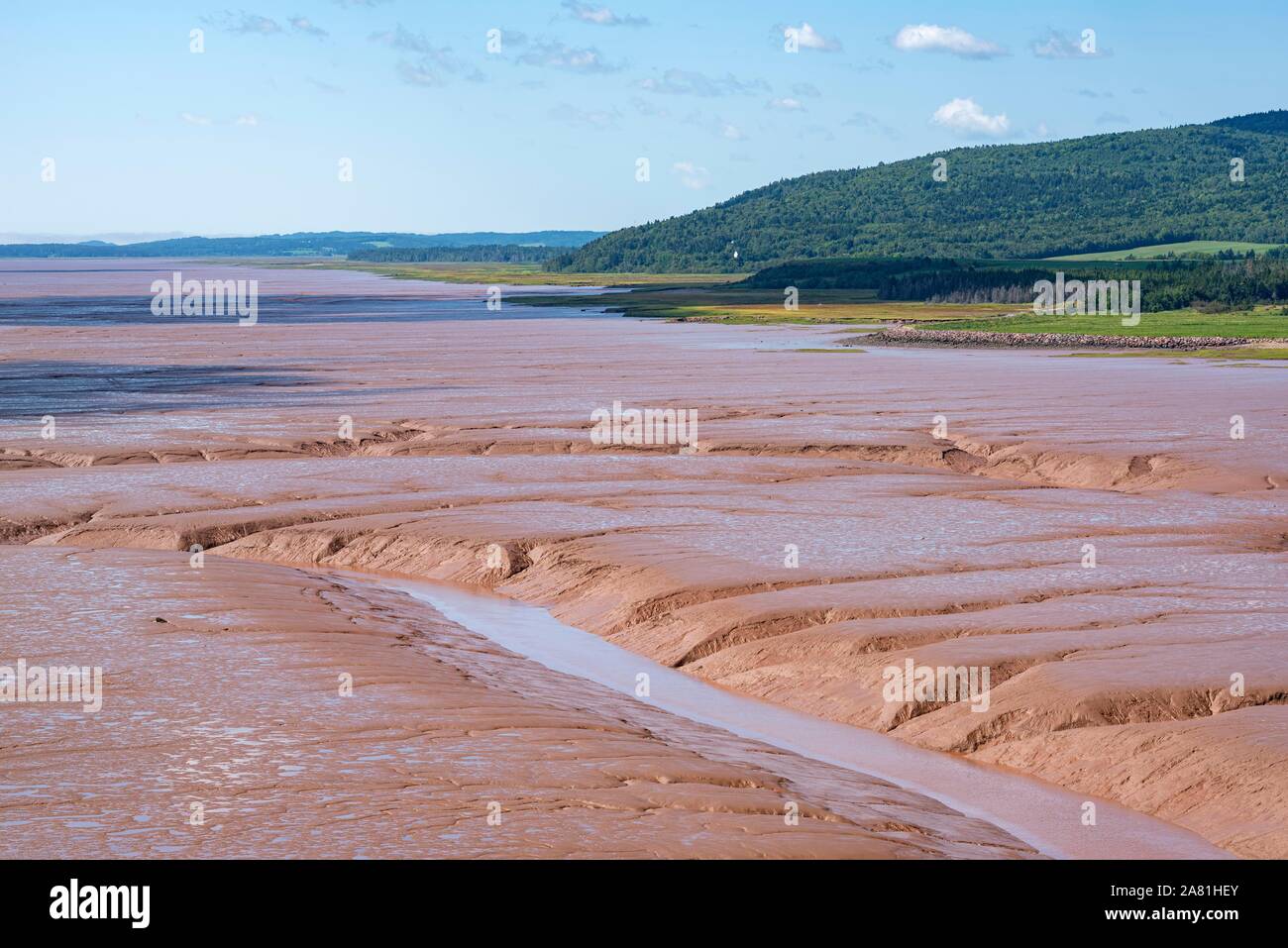 1.497 fotos de stock e banco de imagens de Bay Of Fundy Canada