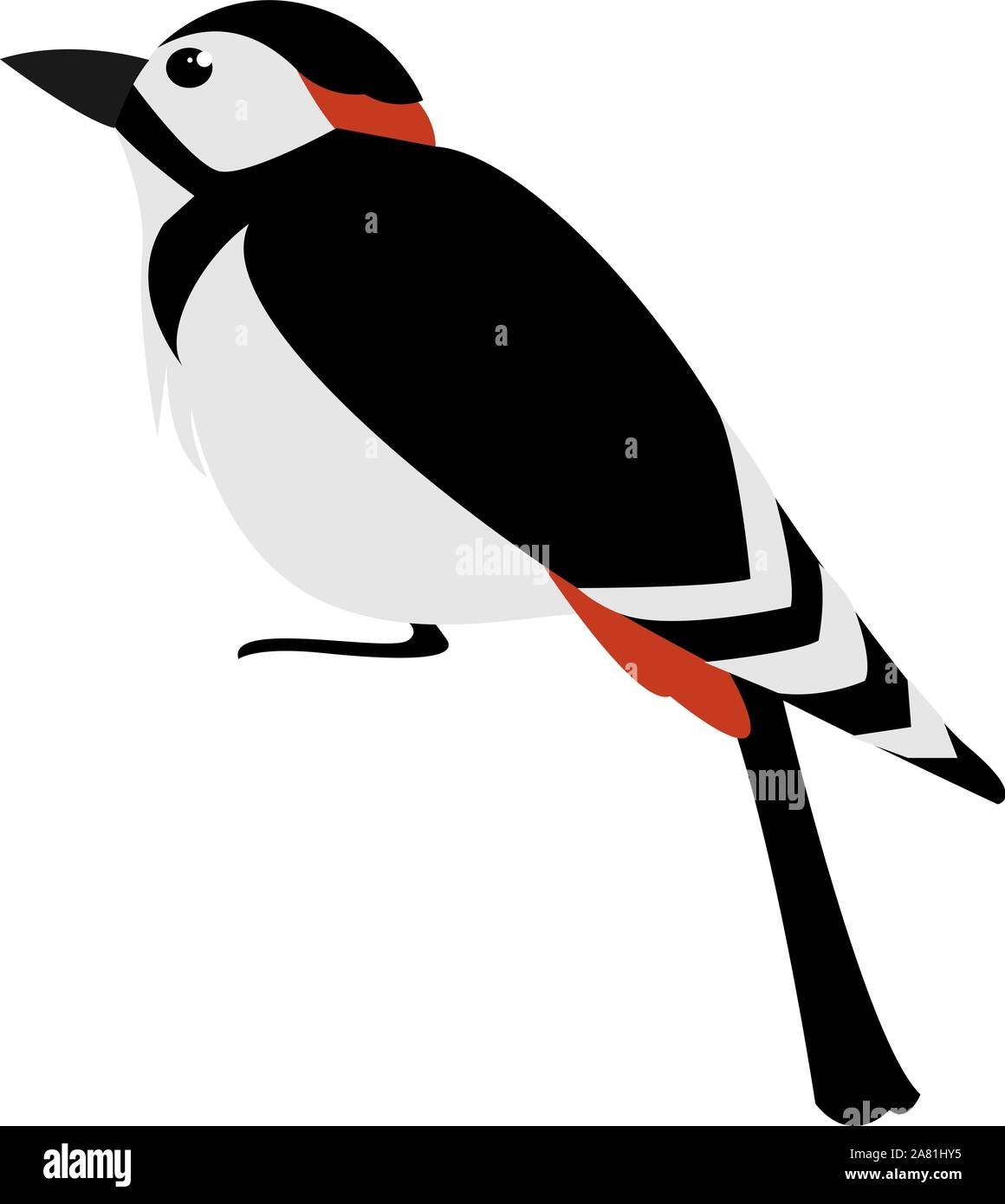 Woodpecker, illustration, vector on white background. Stock Vector