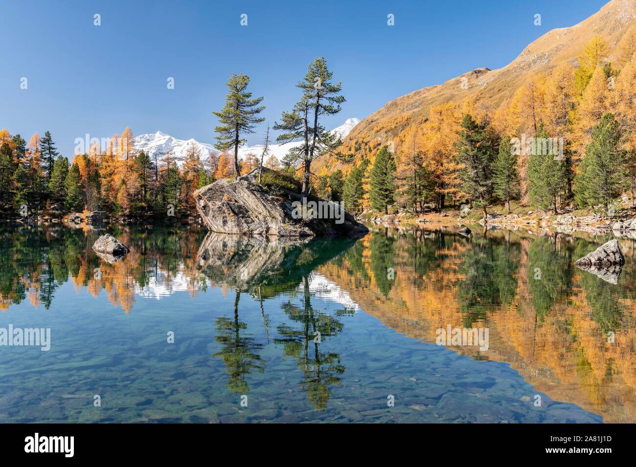 Autumn larch forest reflected in Lago di Saoseao, Engadine, Canton Graubunden, Switzerland Stock Photo