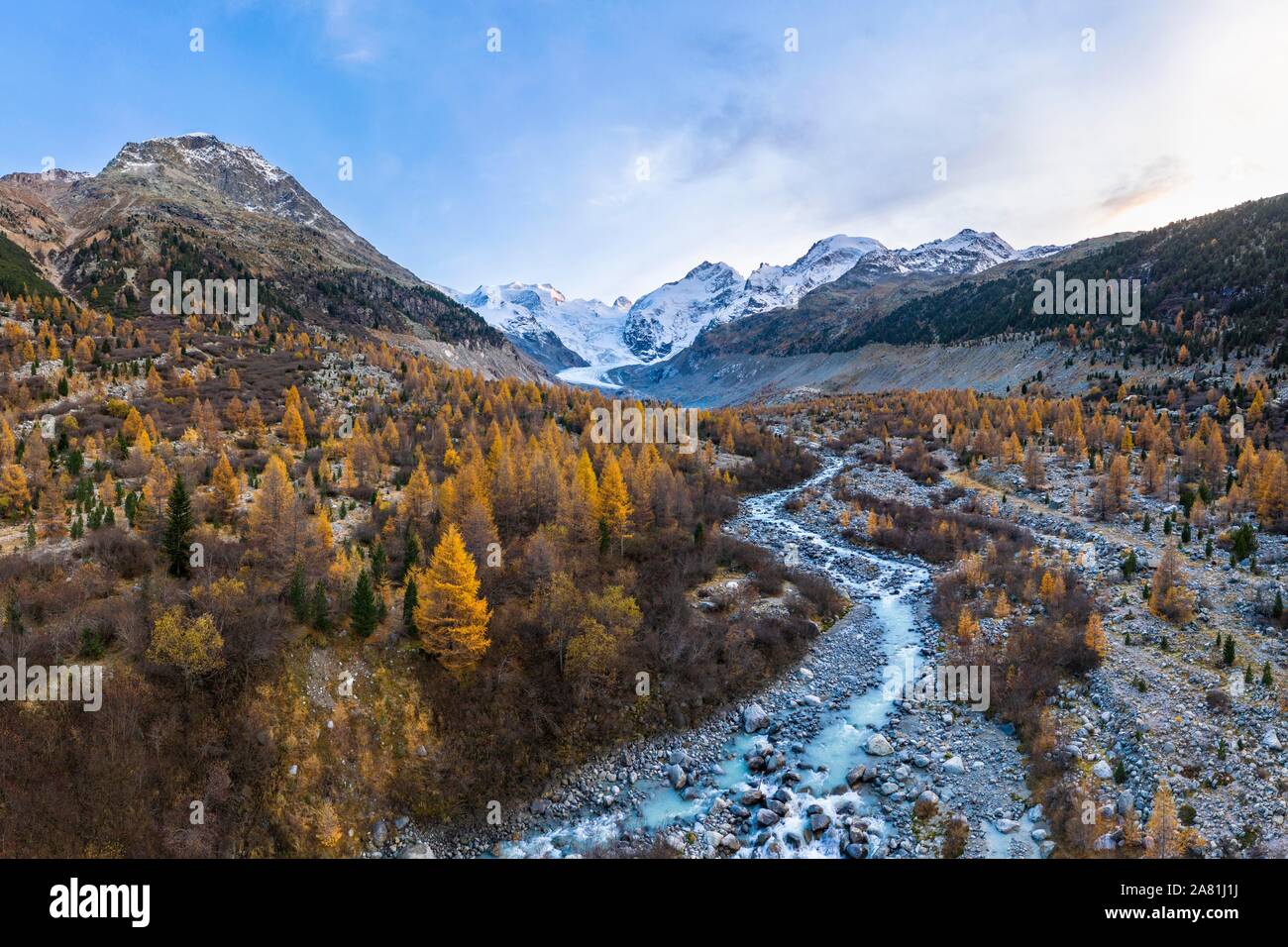 Autumn larch forest in the valley of the Morteratsch glacier, Bernina group with Piz Bernina, Bernina, Engadin, Canton Graubunden, Switzerland Stock Photo