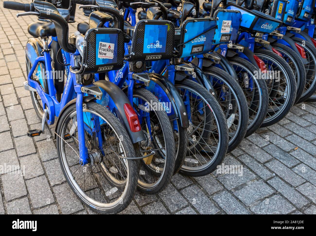 Many parking bikes from Citibike, rental bikes, Lower Manhattan, New