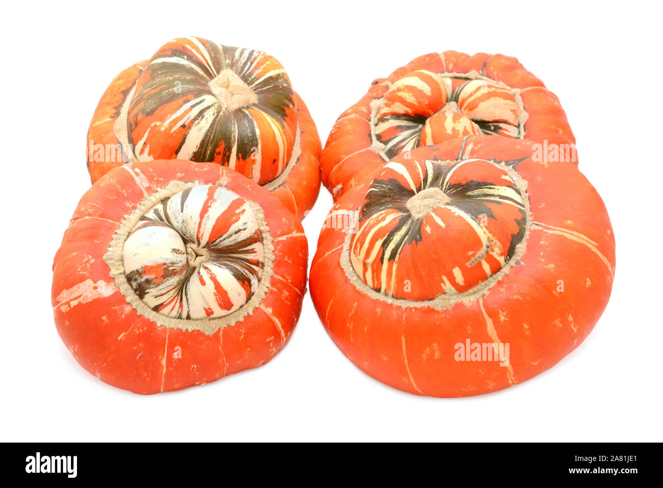 Four large Turks Turban ornamental gourds with orange caps and striped centres, on a white background Stock Photo