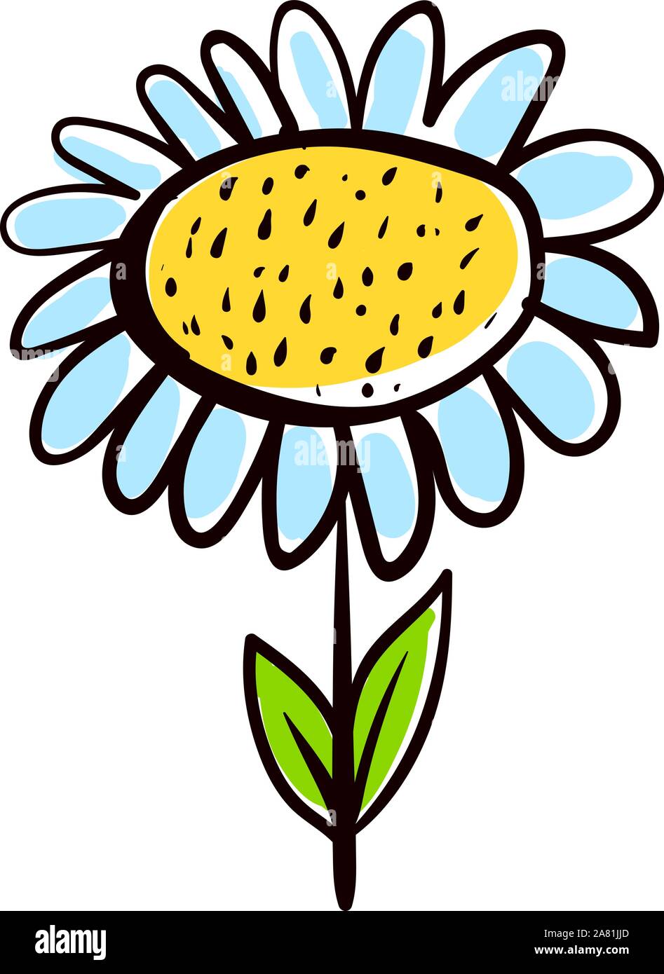 Daisy flower, illustration, vector on white background Stock Vector ...