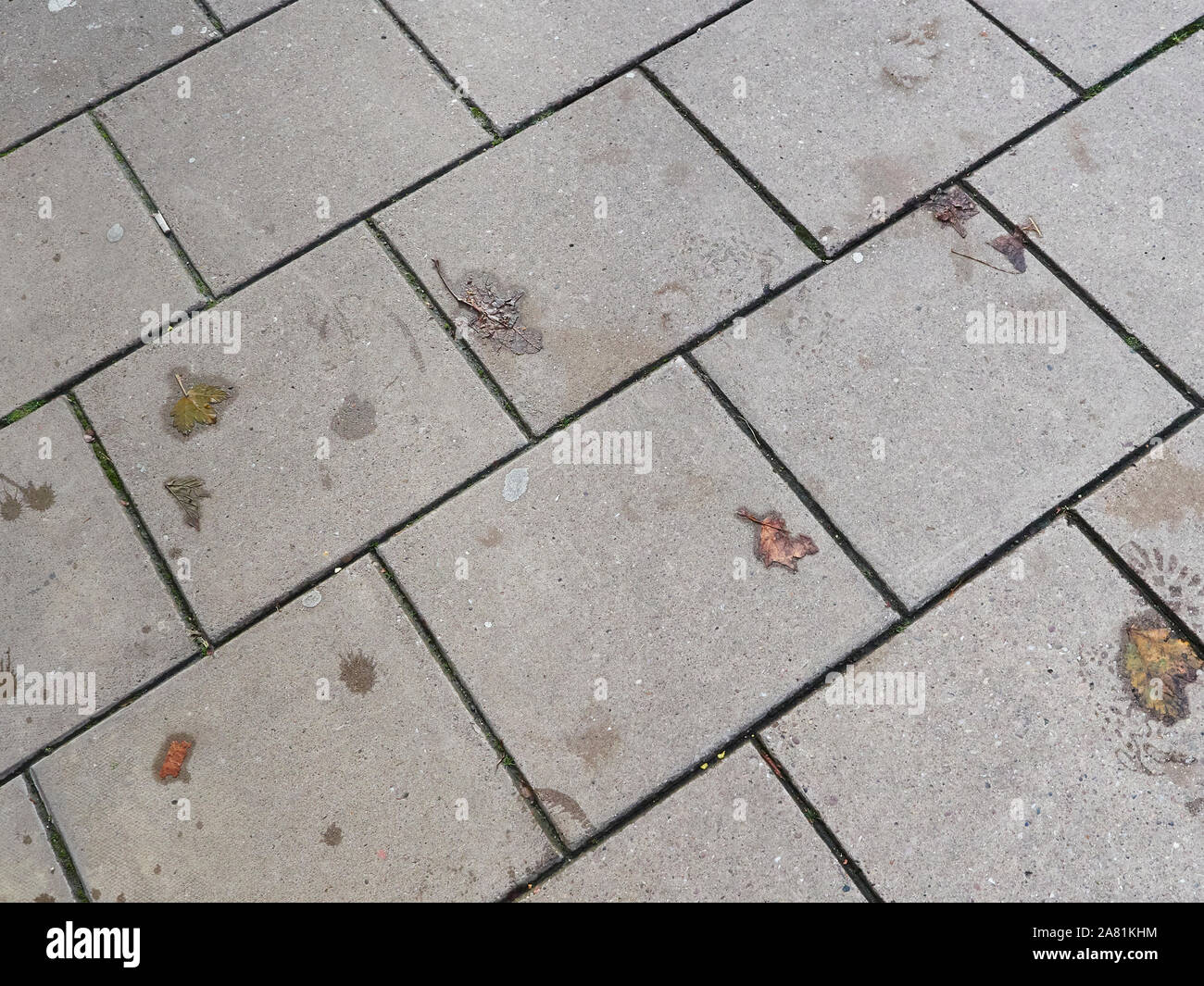 Close up of a pavement made of grey square stone slabs with a small number of autumn leaves scattered on top and wet footprints left by a boot Stock Photo