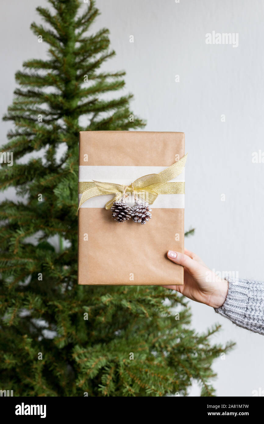 Gift in hand with christmas tree at background. Concept of present sales Stock Photo