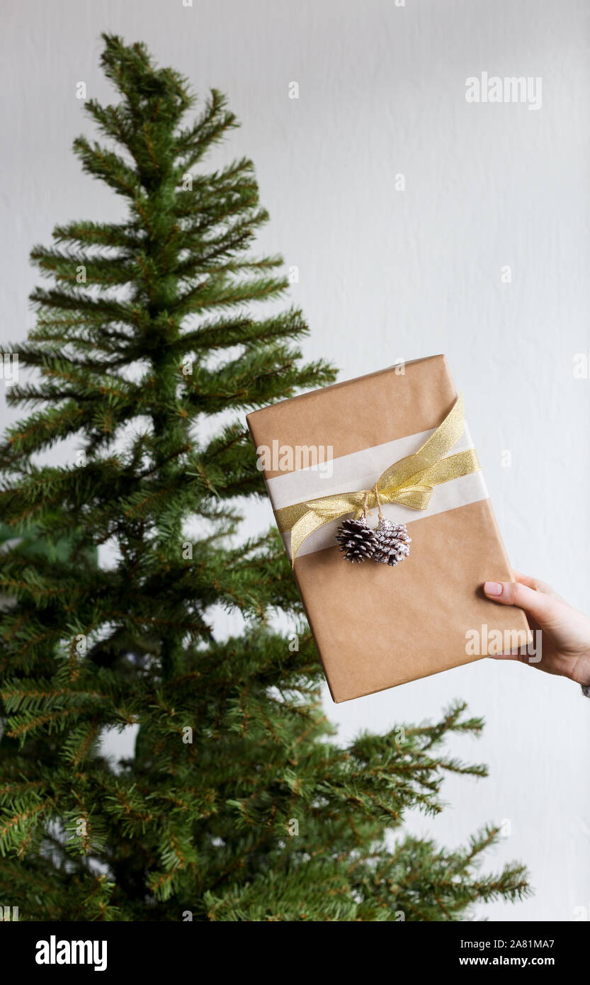 Box with present in woman's hand and christmas tree behind at light gray wall Stock Photo