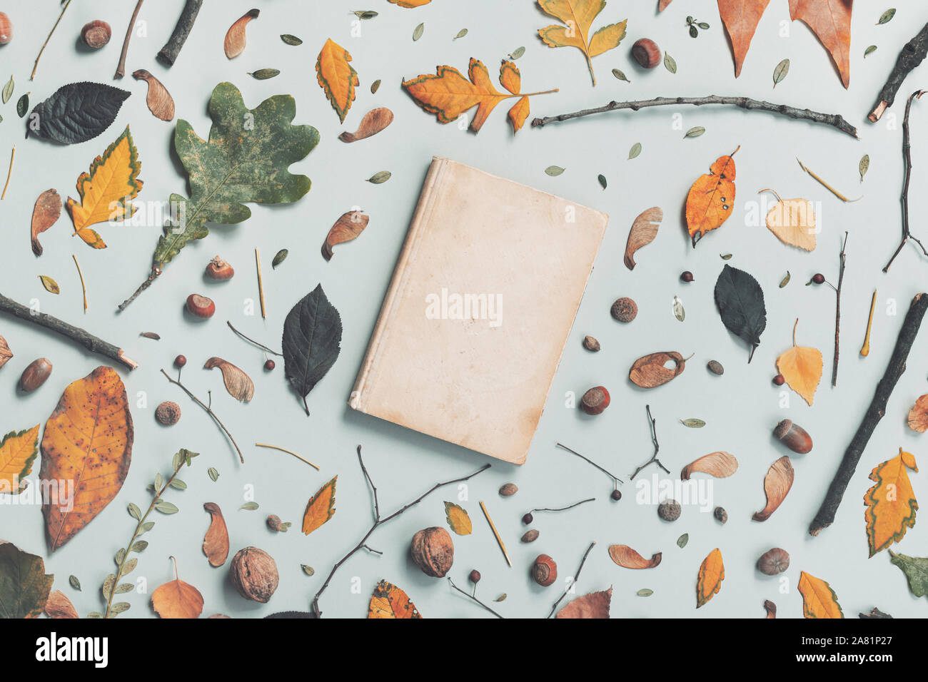 Vintage book cover mock up with autumn decoration, flat lay top view copy space Stock Photo