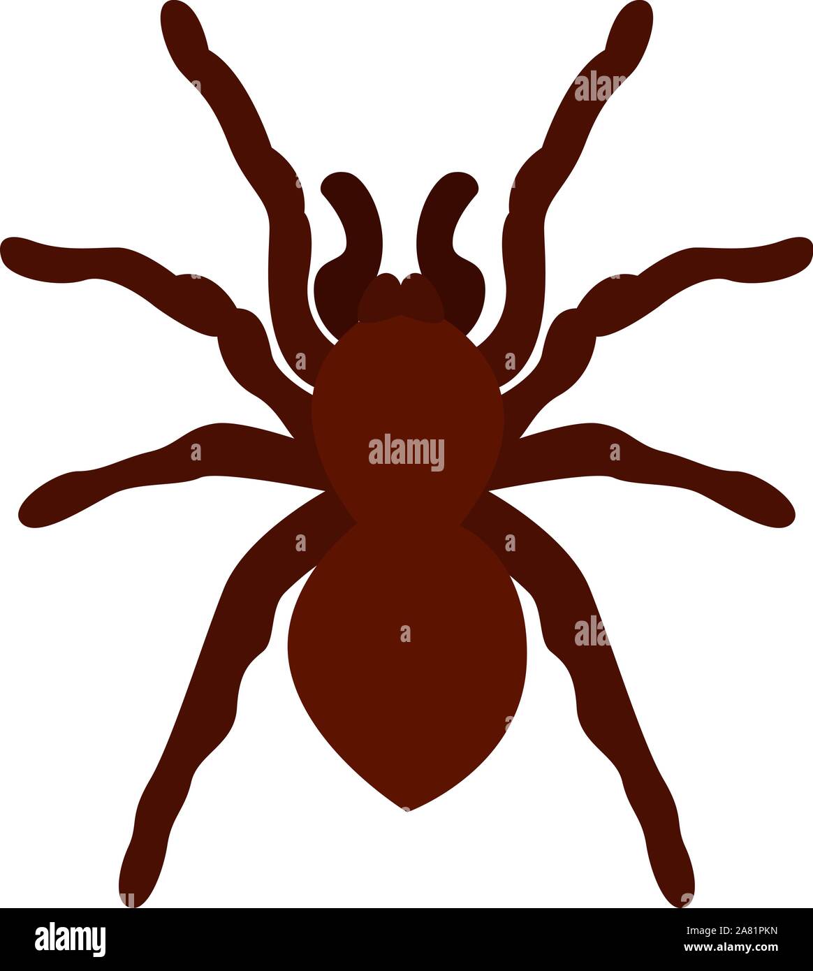 Tarantula, illustration, vector on white background. Stock Vector