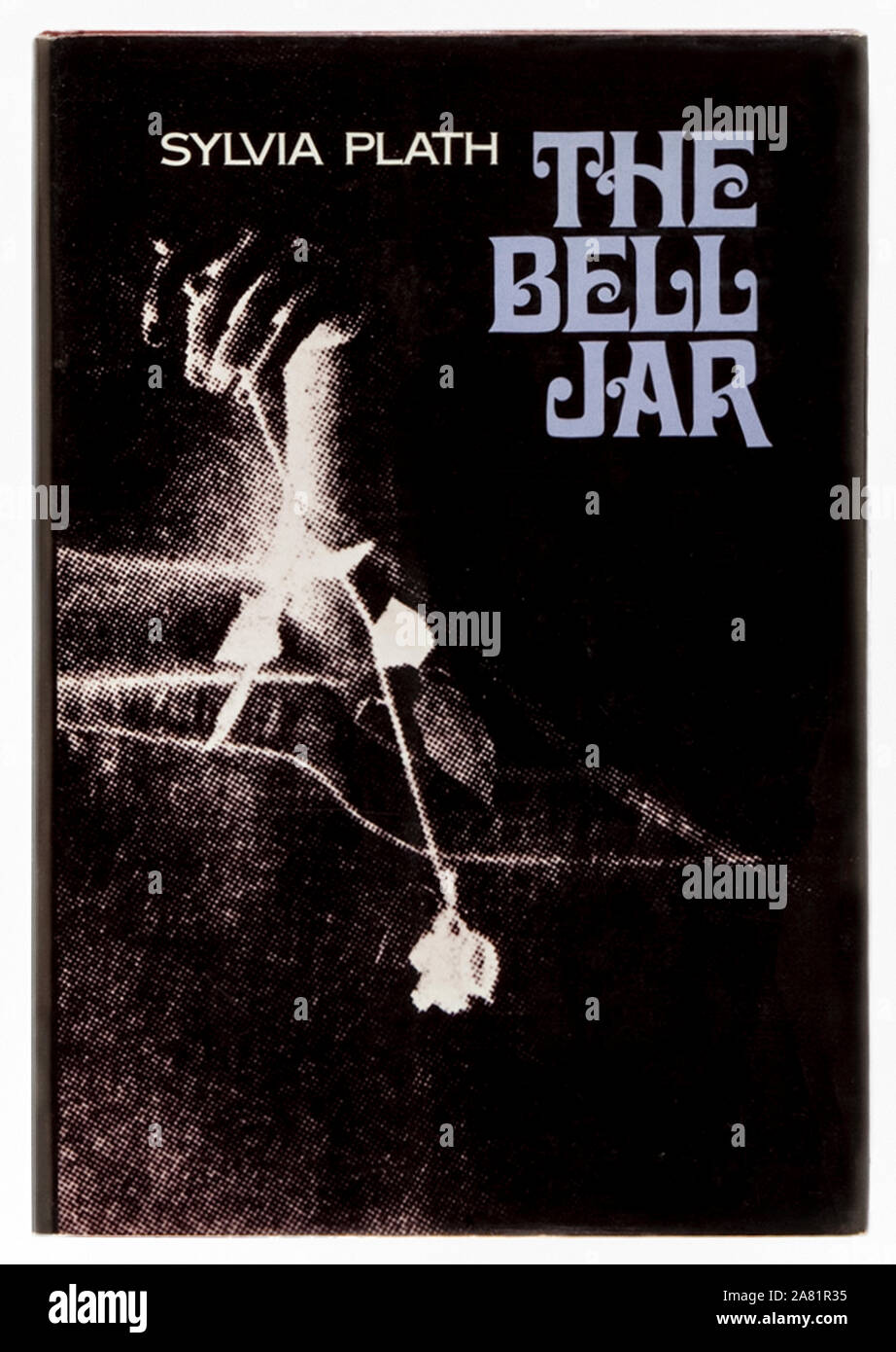 The bell jar hi-res stock photography and images - Alamy