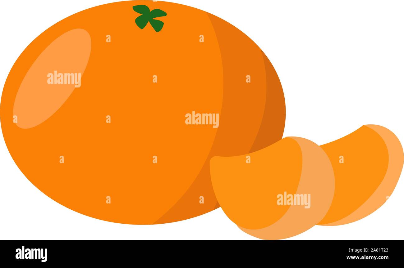 Clementine, illustration, vector on white background. Stock Vector