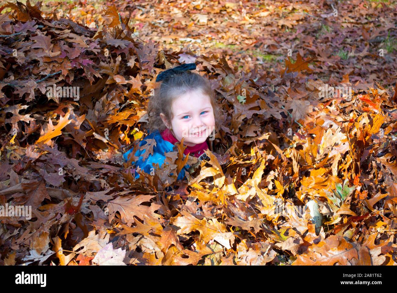 Cute Girl Youngster in fall pile of colorful leaves Stock Photo