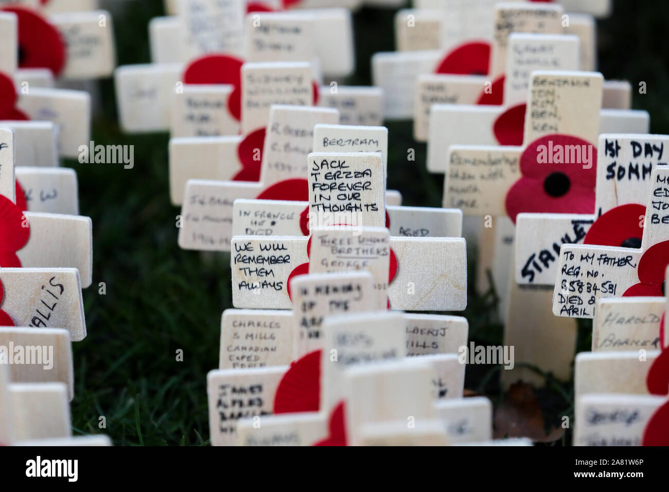 November 5, 2019, London, United Kingdom Crosses with poppies and tributes in the grounds of