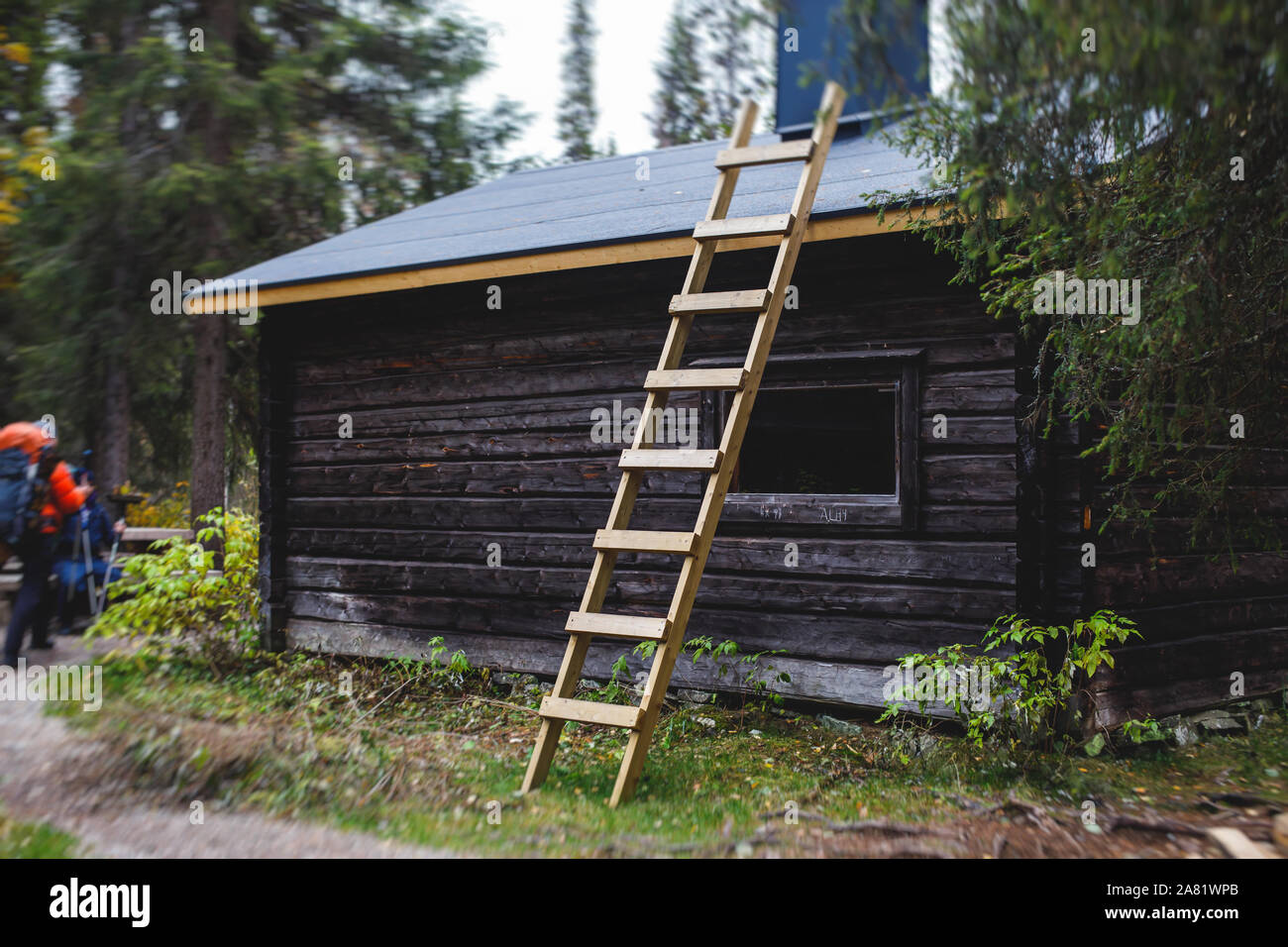 View of finnish National park Oulanka with wooden wilderness hut, cabin  cottage, wooden suspension bridge, wooden ladder steps, campground, Finland  Stock Photo - Alamy