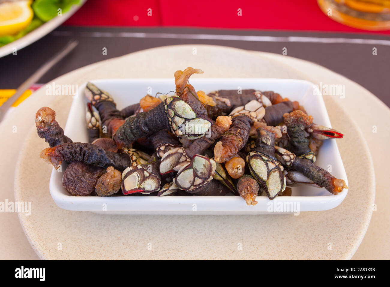 Goose neck barnacles platter at  portuguese seafood meal or marisqueira. Overhead shot Stock Photo