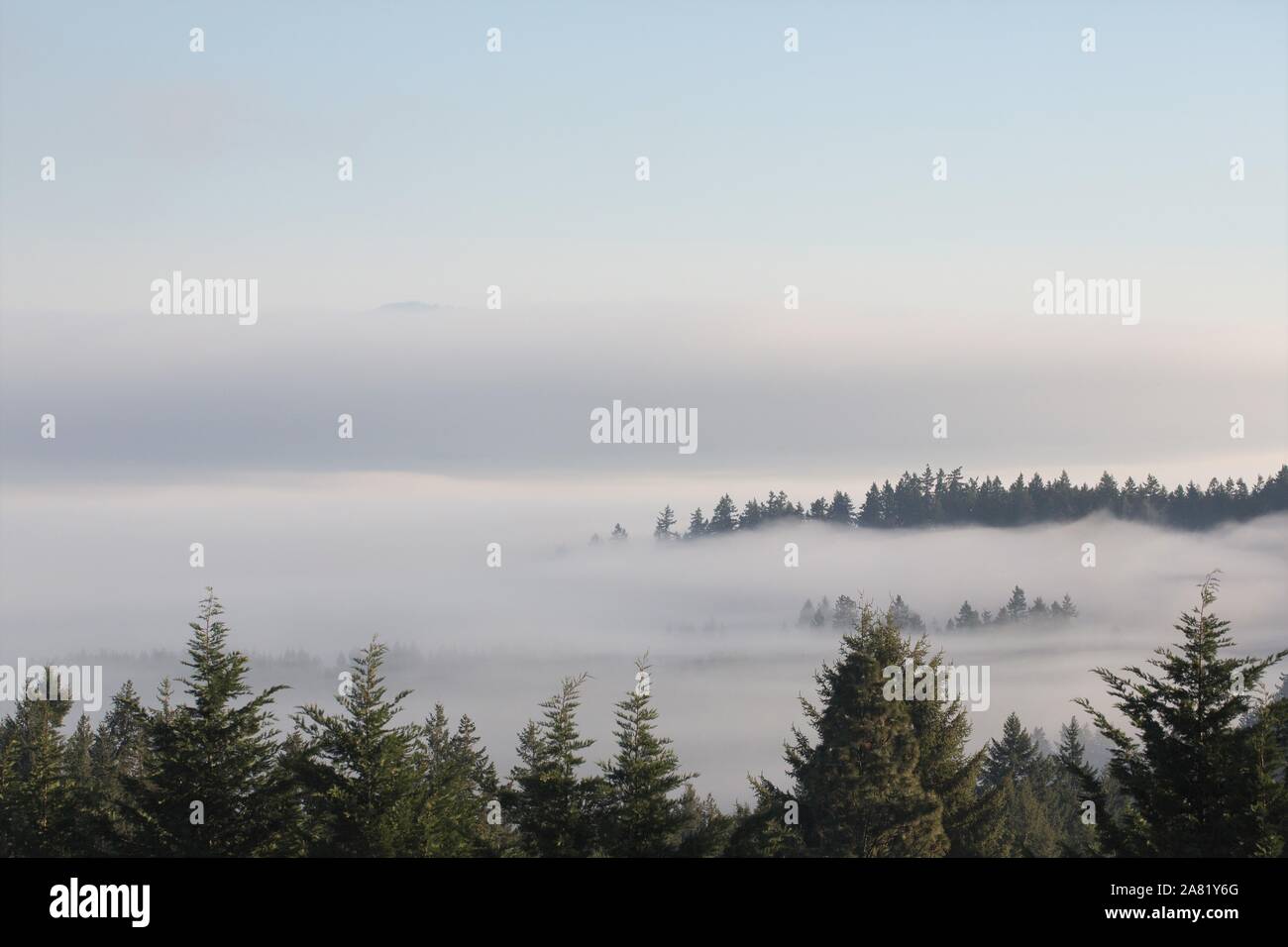 Fog Over Eugene Oregon Usa Stock Photo Alamy