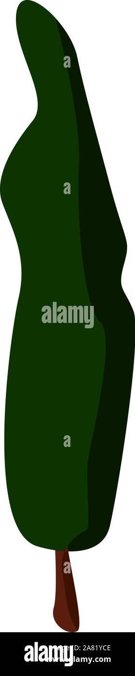Poplar, illustration, vector on white background. Stock Vector