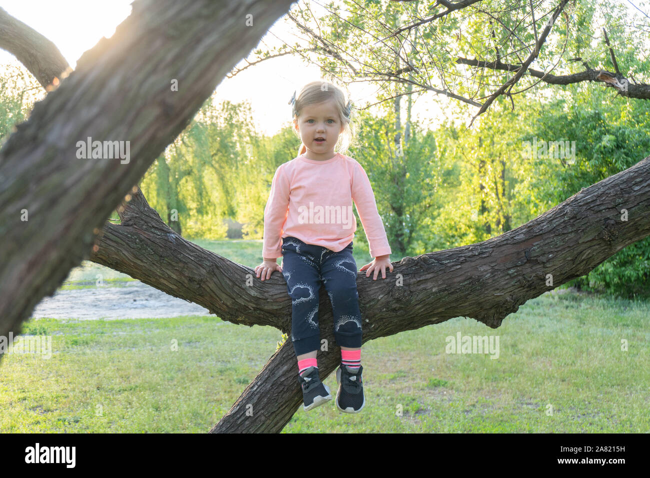 Sweet little kid girl sitting on the branch Stock Photo