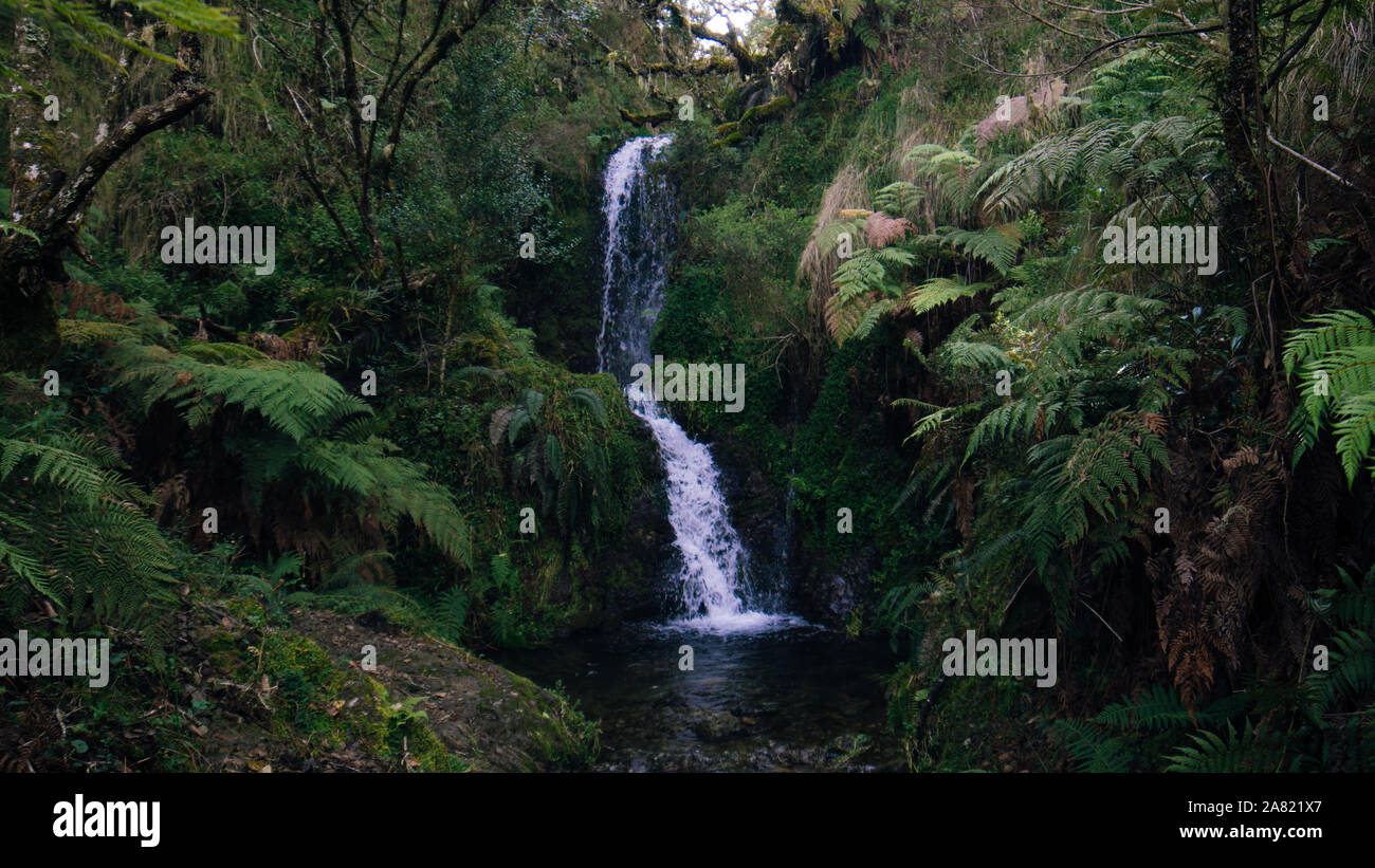a waterfall in the middle of the forrest Stock Photo - Alamy