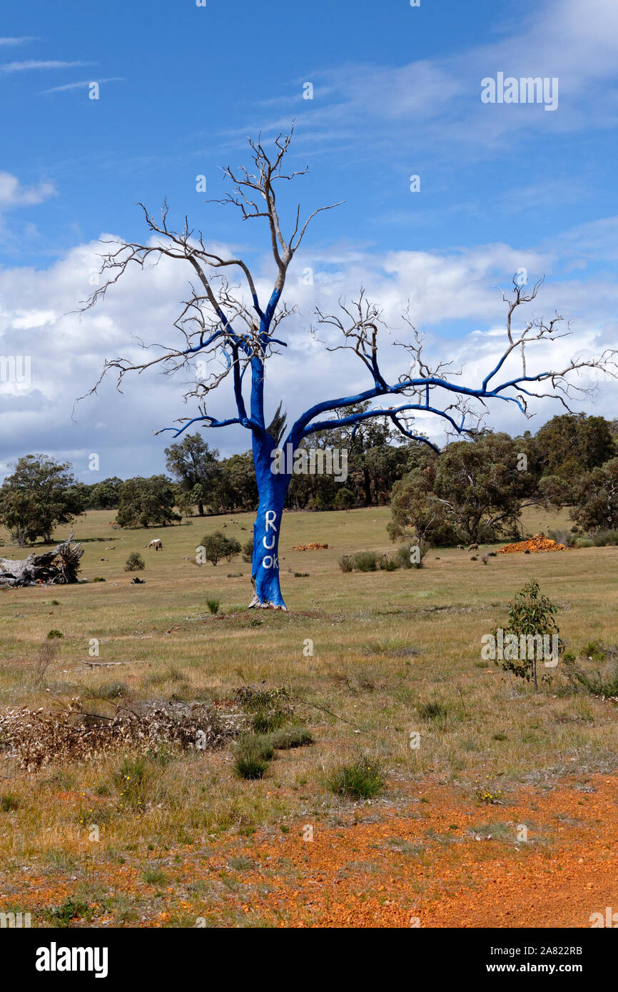 Are You Okay tree "R U OK" Tree painted blue symbolizing mental illness, Toodyay, Western Australia Stock Photo