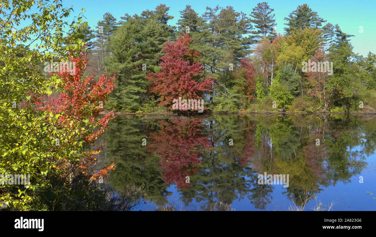 New england fall colors hi-res stock photography and images - Alamy