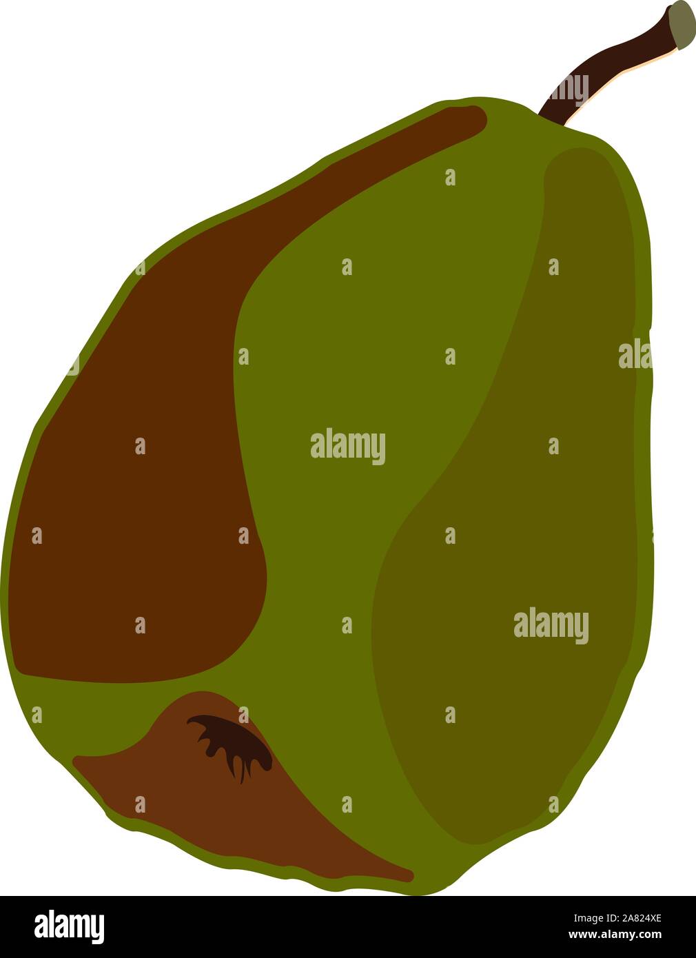 Green pear, illustration, vector on white background Stock Vector Image ...