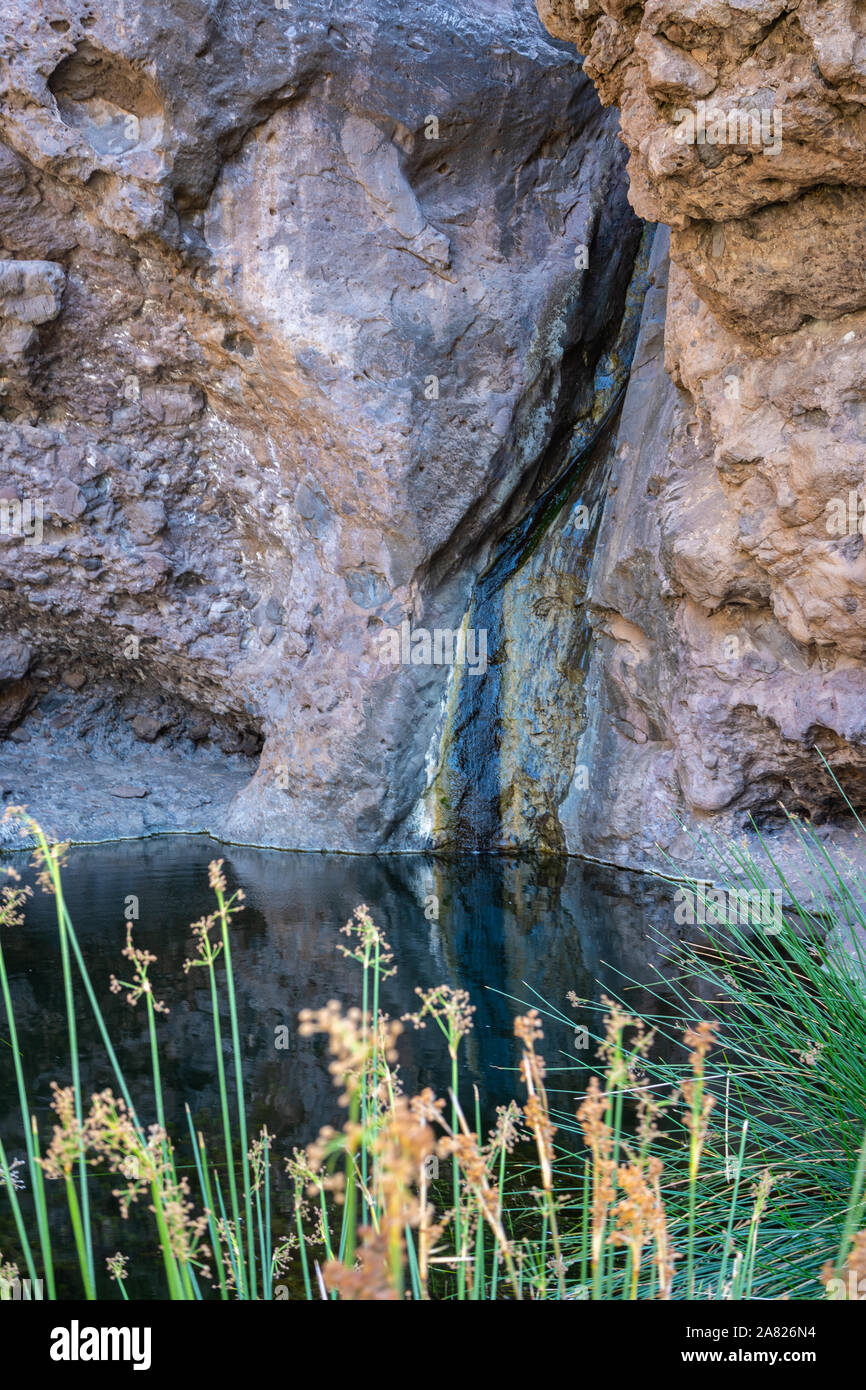 El Charco Azul (the blue pond) between the reeds in Gran Canaria Stock Photo