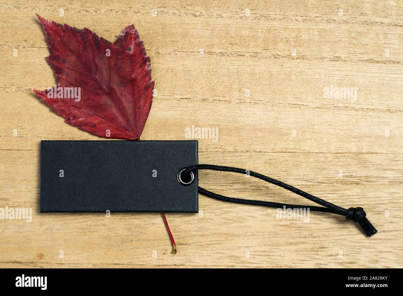 Autumn blank black label with maple leaves Stock Photo