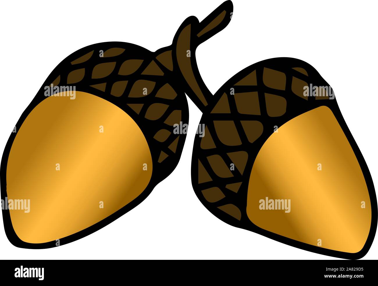 A pair of acron, illustration, vector on white background. Stock Vector