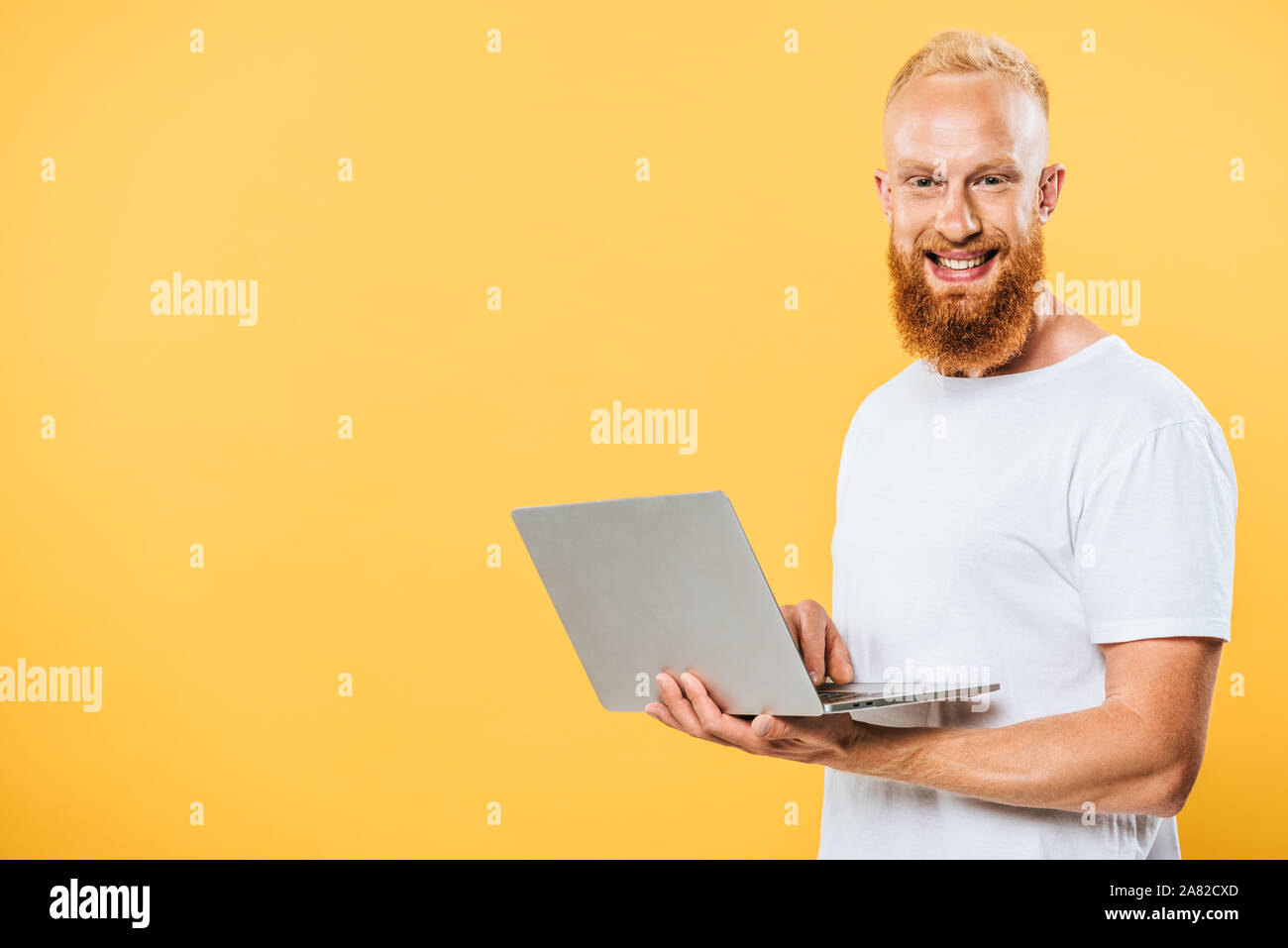 smiling bearded man using laptop, isolated on yellow Stock Photo